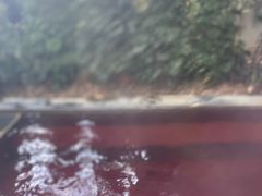 -仁爱团泊湖温泉中心