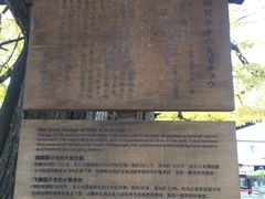 -医王山·飞騨国分寺