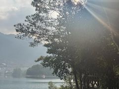 -广州市流溪河国家森林公园
