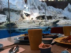 -帝企鹅自助餐厅•儿童岛•真企鹅(长隆企鹅酒店)