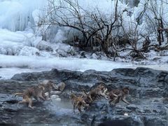 -云台山风景名胜区