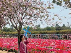 -盈香心动乐园
