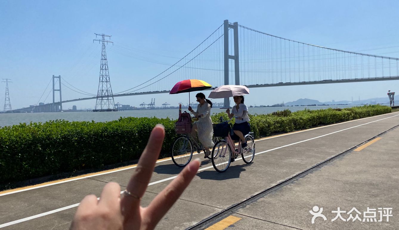海鸥岛游啊游