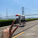 海鸥岛游啊游