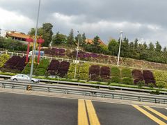 -大板桥综合市场(隆兴购物中心店)