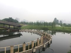 -眉山湿地公园(东坡区)