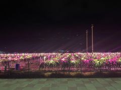 -亚龙湾国际玫瑰谷