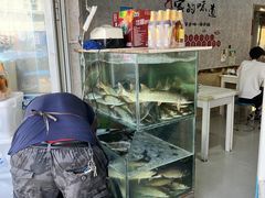 -煲来饱去冷水鱼
