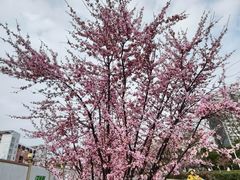 -西南政法大学(渝北校区)