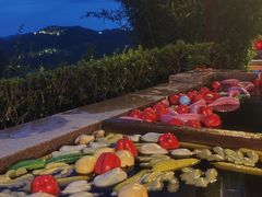 -天目湖涵田半山温泉