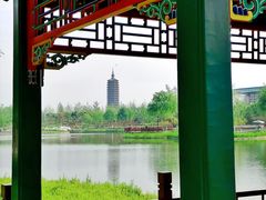 -西海子公园