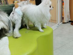 -衣裳街历史文化街区