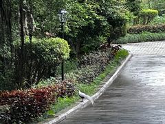 -福建鲤鱼洲酒店