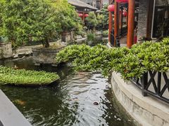 -猪肉婆私房菜(容桂总店)
