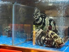 -ONE FULL 古董港式海鲜火锅