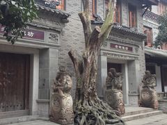 -龙潭水乡