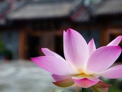 -郑远元专业修脚房(宣化路店)
