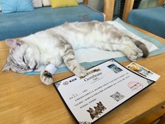 -美迦爱-牙专科·兔科·骨科诊疗中心(北苑店)