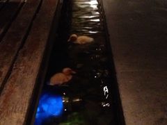 iphone_upload_pic-花家怡园