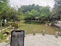 -火炉山森林公园