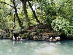 -兰亭风景区