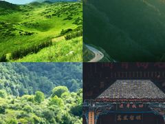 -秦岭风景区