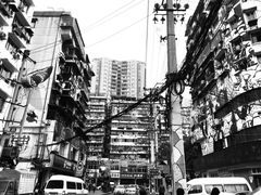 -梯坎豆花