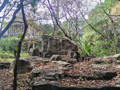 -广州市白云山风景名胜区