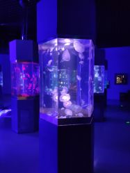 -未来动物城动物主题公园(大悦城店)