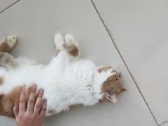 -怪兽屋·羊驼·猫咖·狗咖(俊华广场店)