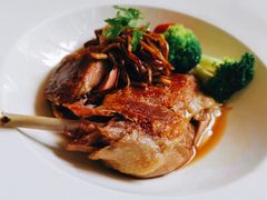 -蝶舍·MAISON PAPILLON