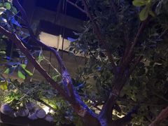 -绿茶餐厅(昆明世纪金源店)