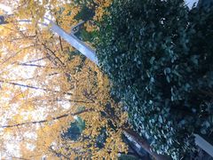 -秀妈厨房(灰汤老店)