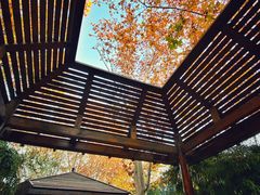 -春晖园度假酒店温泉