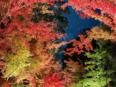 -醍醐寺