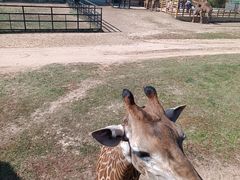 -鄂尔多斯野生动物园