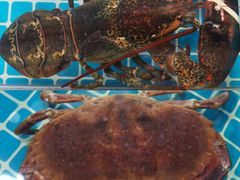 -三亚火车头万人海鲜广场