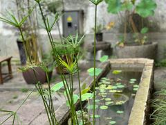 -鸣鹤古镇