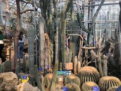 -国家植物园南园