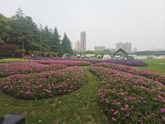 -黄兴公园