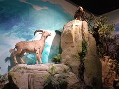 -重庆中国三峡博物馆(重庆博物馆)