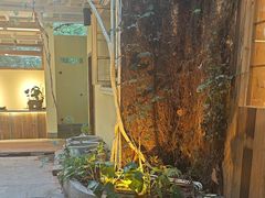 -宅里香.自然餐厅(湘大店)