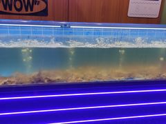 -0048鲜活香辣虾·火锅(铜陵路店)