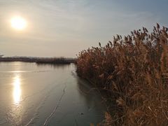 -盐城丹顶鹤湿地生态旅游区