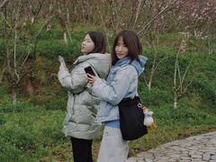 -常德桃花源景区