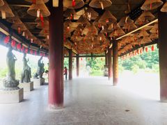 -三水森林公园