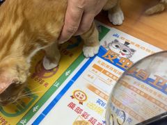 -pd派德宠物中心医院24H急重症·眼科中心·血液透析中心(嵩山北路店)