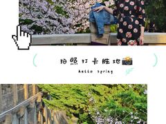 -武汉大学-樱园