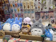 -猫的天空之城概念书店(束河店)
