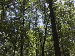 -沂蒙山旅游区云蒙景区(蒙山国家森林公园)